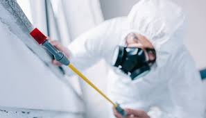 Best Residential Pest Control  in Wolcottville, IN